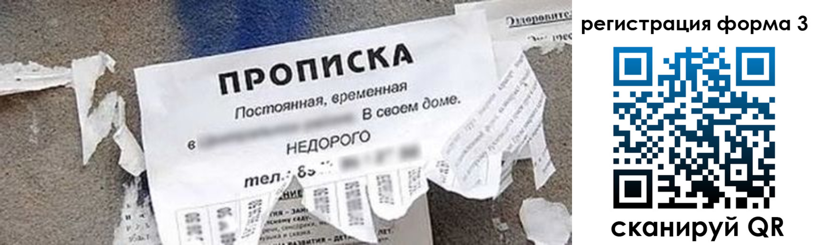 прописка 2025 в Кировске