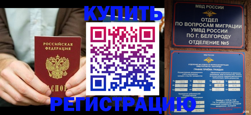 прописка 2025 в Кировске